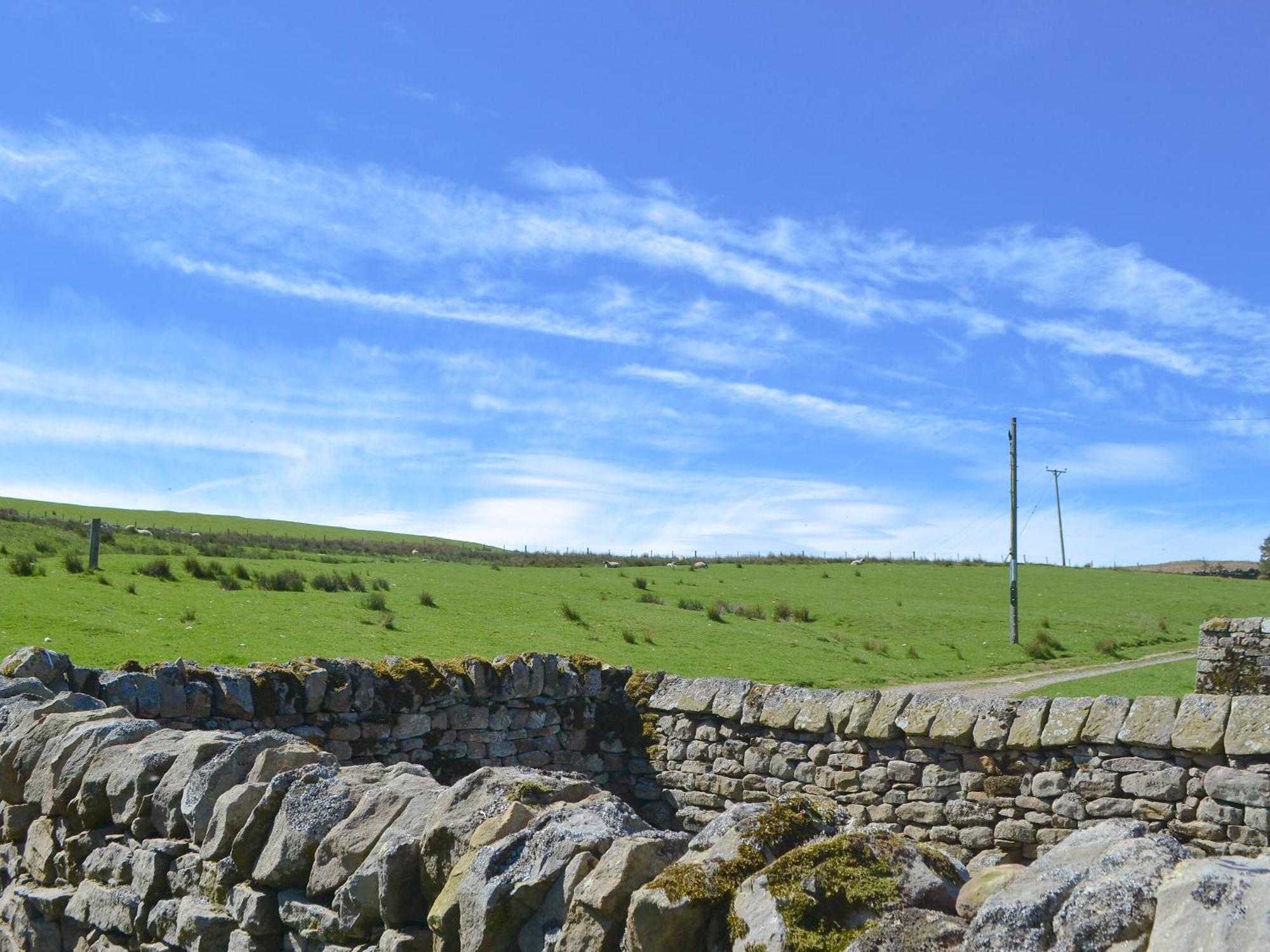Вілла Spindle Well Barn Elsdon Екстер'єр фото